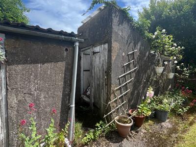 Picture 11
